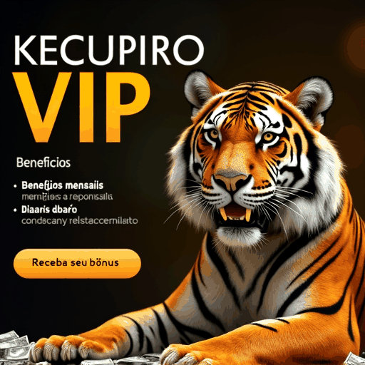 6633bet